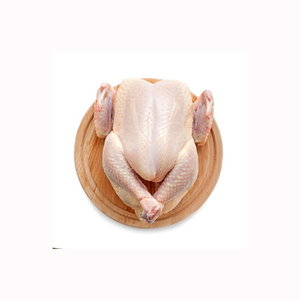 ขาไก่แช่แข็งคุณภาพสูง / ไก่ทั้งตัวแช่แข็ง / ปีกไก่แช่แข็ง - Product Image 3
