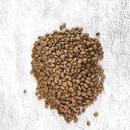 Café Arabica Pur du Vietnam Torréfaction Moyenne Foncée Processus Entièrement Lavé Goût Neutre et Lisse Qualité A+ et Remise sur Commande en Gros - Product Image 4