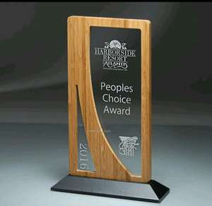 เหรียญอะคริลิกสีบรอนซ์ ปี 2025 หรูหรา ทนทาน รีไซเคิลได้ ขัดเงา สลักโลโก้ตามสั่ง สำหรับรางวัลองค์กร งานพิเศษ - Product Image 3