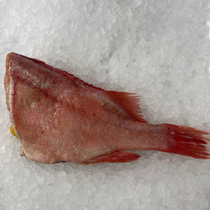 Mullet Rojo Congelado de Primera Calidad, Sin Grasas Trans, Suministro al por Mayor, Nutritivo, Exportación de Mariscos, Envasado al Vacío - Product Image 1