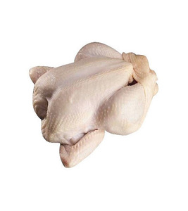Pollo Entero Congelado Halal Premium Grado A BQF para Asar, Grillar y Hacer Caldo - Product Image 2