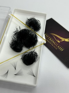 Premade Eyelash Extensions Vietnam Spike A Shape Wispy <b>Cluster</b> <b>Lashes</b> Cashmere Matte Black <b>Lash</b> Trays Wholesale - Product Image 3