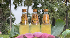 Bebida de Néctar de Palma Fresca Directo de Fábrica de Vietnam con Tapa de Fruta de Palma, Botella de 290 ml, Venta al por Mayor, Lista para Beber, Bebida Tropical - Product Image 3