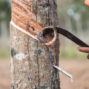 Latex de caoutchouc naturel 60 DRC avec résistance chimique et haute cristallinité (HCPP) pour la fabrication de préservatifs, entreprise Ngoc Chau - Product Image 6