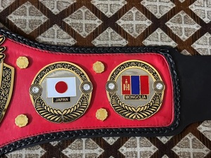 Ceinture de championnat PWF ALL ASIA MMA - Légère, en alliage de zinc, unisexe - Product Image 2