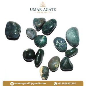 Pierres de galets naturels polies, pierres de palmier, spécimens de cristal cabochon pour la décoration, approvisionnement en vrac, Gujarat - Product Image 6