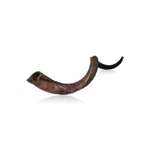Shofar en corne de bélier entièrement poli, original, casher, très demandé et très tendance, d'Israël - Instrument de musique juif facile à souffler - Product Image 2