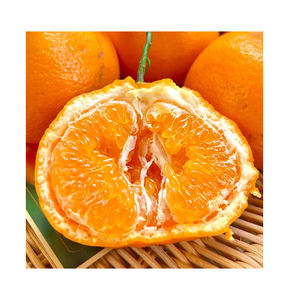 Naranja ombligo fresca/naranja mandarina fresca/naranjas - Product Image 2