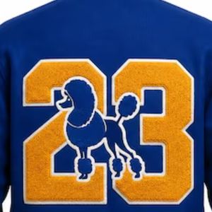 Custom Sigma Gamma Rho Wool Letterman Varsity Jacket Embroidered Greek Crest College Baseball <b>Coat</b> Sorority Fashion Outerwear - Product Image 4