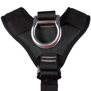 Arnés/Cinturón de Seguridad Ajustable y Personalizado CITICITY para Escalada en Roca y Montañismo, con Poliéster de Alta Tenacidad y Capacidad de 150 kg - Product Image 3