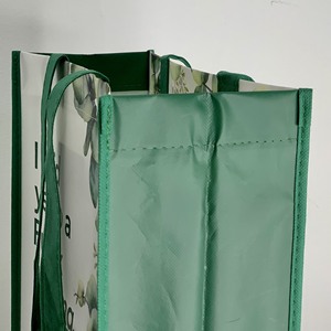 Bolsa de compras de polipropileno no tejido, con asa hasta el hombro, sin impresión por huecograbado, en embalaje de cartón, de fábrica en Vietnam - Product Image 4