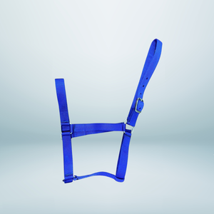 Qualité de la meilleure qualité matérielle économiquement conçue de licou de cheval de pp - Product Image 1