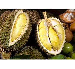 Origen de Vietnam 100% Durian natural IQF Fruta congelada Lista para comer Sin aditivos Calidad de exportación - Product Image 6