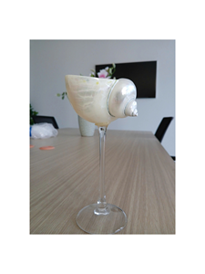 Verre à vin ou à cocktail en coquille de conque, Tasse en coquille d'escargot, Vente chaude de verres à vin en coquille de conque, Tasse d'escargot luxueuse de 99 GD, Meilleure qualité - Product Image 1