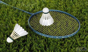 Raquette de badminton en graphite, cadre robuste, idéale pour l'entraînement et les matchs - Product Image 6