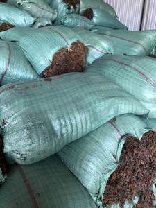 Algas Sargassum de Vietnam 100% naturales sin aditivos, sin productos químicos/Sra. Lima - Product Image 2