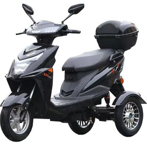 Motocicleta eléctrica ligera de tres ruedas con carrocería abierta, alcance de 30 km, ideal para el transporte de adultos mayores y el recogido de niños. - Product Image 5