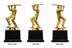 Fast Delivery Golden Cricket <b>Trophy</b> <b>Cup</b> Factory Price Sport Competition Awards Gift Plastic <b>Trophy</b> Customized 2D/3D Design UV - Product Image 6