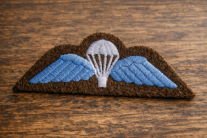 Patch Tactique Brodé Ailes de Parachutiste Style Original pour Veste, Sac à Dos, Gilet, Casquette - Product Image 4