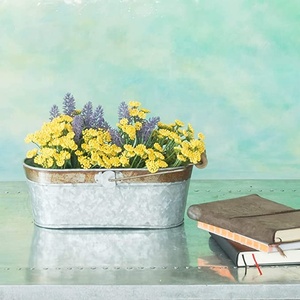 Macetas y jardineras de metal galvanizado, cubo ovalado con embellecedor de óxido y mango de madera para jardín personalizable - Product Image 5
