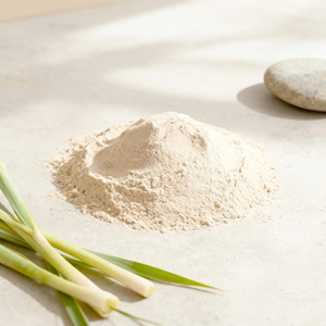Food Grade Lemongrass Powder For Cooking And Seasoning, Pure Lemongrass Powder Vietnam Lemongrass Powder <b>Extract</b> Manufacturer - Product Image 6