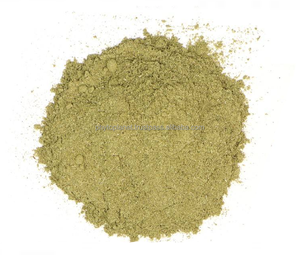 HORSETAIL HERBAL <b>EXTRACT</b> - Product Image 1