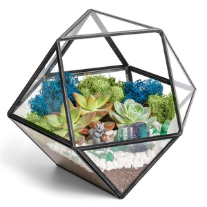 Terrario Geométrico con Forma de Cúpula de Cristal Artístico Vintage para Hogar y Jardín, Florero de Mesa, el Mejor Regalo para Amantes de las Plantas - Product Image 4