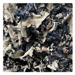 Champignons de bois séchés de haute qualité pour les rouleaux de printemps et les soupes diététiques - Product Image 2