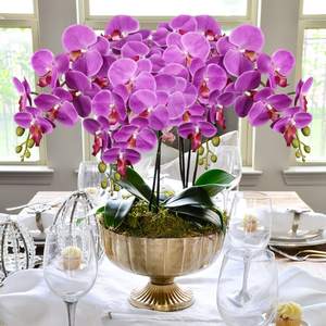 THAF-007 Fleur d'orchidée artificielle, 9 pétales larges, orchidées artificielles réalistes en latex, tiges de phalaenopsis, fleur pour mariage, décoration de la maison - Product Image 2