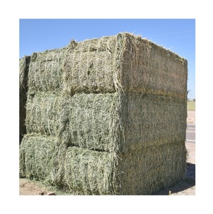 Heno de Alfalfa Orgánico Premium / Heno de Pasto Rhode / Heno de Timothy, Alimento para Animales en Venta - Product Image 4