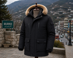 Veste d'hiver courte décontractée pour homme, parka à capuche en fausse fourrure, doudoune matelassée, fermeture éclair, polyester, coupe-vent, vêtements d'extérieur - Product Image 6