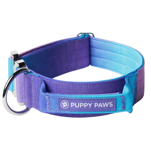 Collar de Perro Comfort Control, Morado y Azul Degradado, Acolchado, Ajustable, de Nailon Resistente, para Entrenamiento y Paseo - Product Image 1