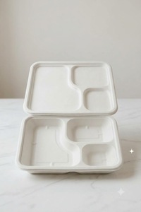 Plateau repas divisé en 3 compartiments, aliments séparés, frais et hygiéniques, parfait pour les repas complets, thali, riz, curry et service de plusieurs plats. - Product Image 6