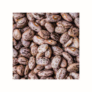Frijoles ligeros moteados, frijoles azucarados, frijoles pinto en venta - Product Image 1
