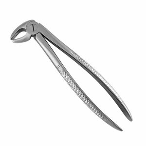 Forceps dentaire modèle anglais pour extraction dentaire, instrument chirurgical en acier inoxydable, outil de précision pour chirurgie buccale - Product Image 2