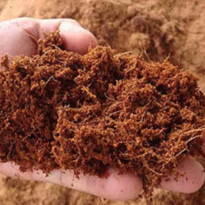 Bloc de tourbe de coco biologique pour le soutien de la croissance racinaire et l'humidification, idéal pour les grandes applications en serre - Product Image 1