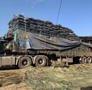 Materia Prima de Escoba de Hierba de Vietnam, Materia Prima para la Fabricación de Escobas de Hierba - Product Image 5