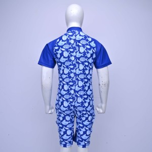 <b>Mens</b> One Piece Swimwear Short Sleeve Blue Fish Print UPF50+ Quick Dry Sportswear Zipper Front Spandex Polyester Swimmer Uniforms - Product Image 2