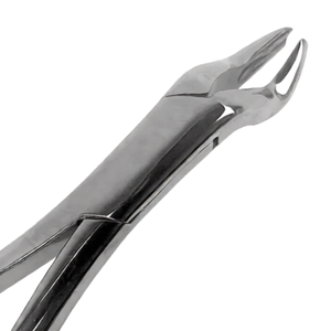 Pinzas de Extracción Dental TC # Herramienta Profesional de Extracción Dental Manual de Acero Inoxidable para Molares Superiores 1er y 2do Derechos 53R - Product Image 4