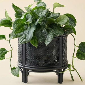 Minimalist Indoor Black Rattan <b>Plant</b> Stand Natural Rattan Elevated Wicker <b>Plant</b> <b>Basket</b> Handmade - Product Image 1