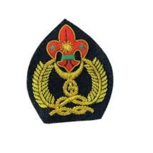 Badges brodés 3D faits main, légers, design personnalisé 2026, haute qualité, service OEM personnalisé, logo sur mesure - Product Image 1