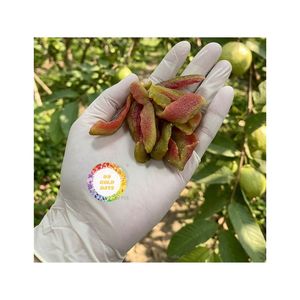 Bouchées de goyave séchée premium du Vietnam, mélange de goyave rose tropicale séchée avec sel et piment, fruits de goyave au sel et au piment, Vente chaude 2026 - Product Image 2