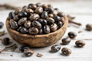 Huile de ricin noire jamaïcaine, huile de ricin pressée à froid naturelle pour massage, cheveux, peau, usage cosmétique - Product Image 2