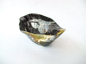 Bol de service en corne de boeuf poli à la main Bol à collation en corne de buffle 100% naturel de qualité supérieure Bol en corne de buffle FWE - Product Image 5