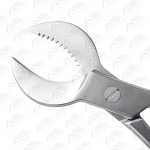 Instrumentos de Laboratorio Dental de Buena Calidad, Pinzas Ligeras de Acero Inoxidable, Cortador de Yeso Dental, Equipos Dentales con Certificación CE - Product Image 5