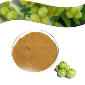 Extracto de Amla de la Mejor Calidad, 40% Natural, Polvo de Fruta de Emblica Officinalis para el Cuidado de la Piel, el Cabello y la Salud, Disponible para la Venta - Product Image 2