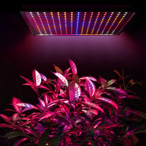 Set 225 LED Full Spectrum lampada a luce per coltivazione interna a sospensione per piante grasse piantine piante vegetali a LED a fiori crescono leggeri - Product Image 4