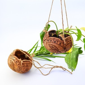 Tazón de Cáscara de Coco Natural para Ensaladas y Smoothies, Se Acepta OEM para Exportación, Juegos de Vajilla Hechos en Vietnam - Product Image 1