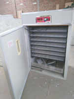 Incubateur d'œufs entièrement automatique de petite taille HJ IH1232 pour 1232 œufs, compatible avec les oies/canards/dindes, taux d'éclosion élevé