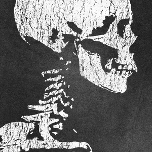 เสื้อยืดสตรีทแวร์ลายพิมพ์วินเทจแบบย้อมสีเอซิดพร้อมโลโก้สั่งทำพิเศษ พิมพ์ลายแบบเทอร์มอลสกรีน ทรงครอป สีซีดแบบซันเฟด สำหรับผู้ชายและผู้หญิง - Product Image 2